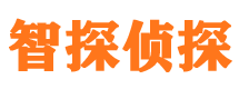 霍邱市侦探调查公司